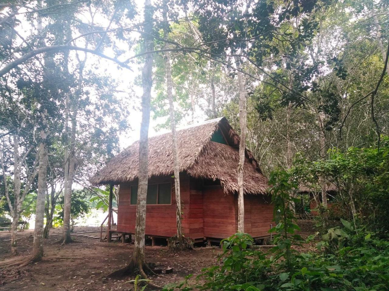 Albergue Majacho'S House Puerto Maldonado Exterior foto